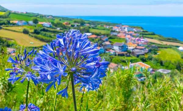 Miradouro do Pico Vermelho Sao Miguel Adası, Portekiz.