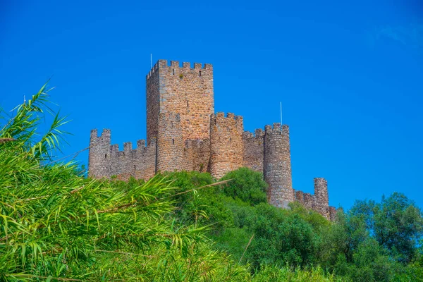 Castelo Almourol Rio Tajo Portugal — Fotografia de Stock