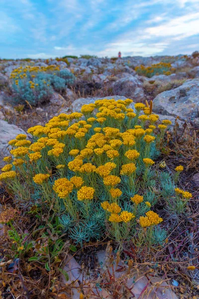 Portekiz 'de gün batımında Cabo de Sao Vicente.