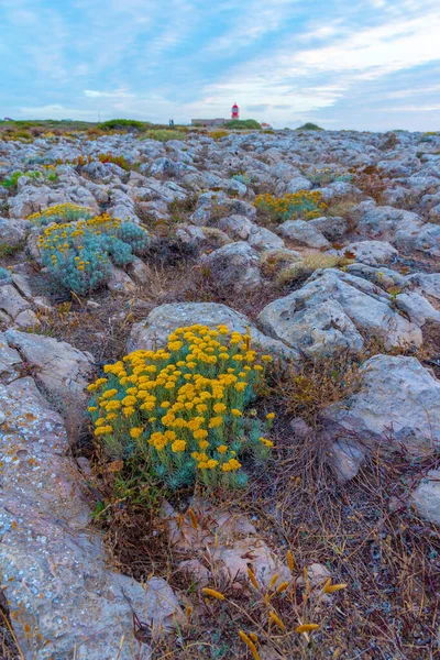 Portekiz 'de gün batımında Cabo de Sao Vicente.