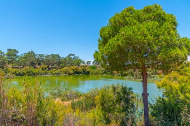 Portekiz 'deki Ria Formosa doğal parkının manzarası.