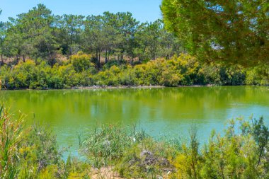 Portekiz 'deki Ria Formosa doğal parkının manzarası.