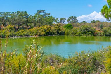Portekiz 'deki Ria Formosa doğal parkının manzarası.