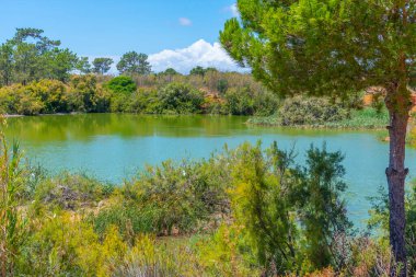 Portekiz 'deki Ria Formosa doğal parkının manzarası.