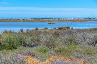 Portekiz 'deki Ria Formosa doğal parkının manzarası.