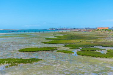 Portekiz 'deki Ria Formosa Ulusal Parkı' nın bataklıkları.