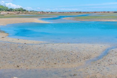 Portekiz 'deki Ria Formosa Ulusal Parkı' nın bataklıkları.