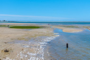 Portekiz 'deki Ria Formosa Ulusal Parkı' nın bataklıkları.