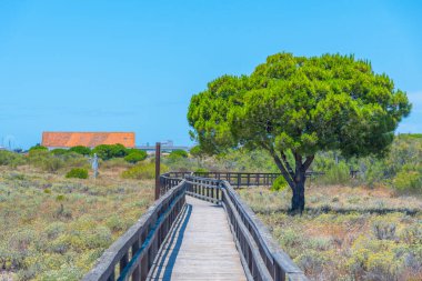Portekiz 'deki Ria Formosa Ulusal Parkı' nın bataklıkları.