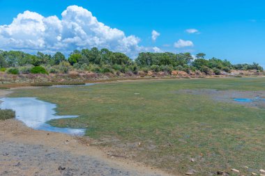 Portekiz 'deki Ria Formosa Ulusal Parkı' nın bataklıkları.