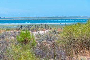 Portekiz 'deki Ria Formosa Ulusal Parkı' nın bataklıkları.