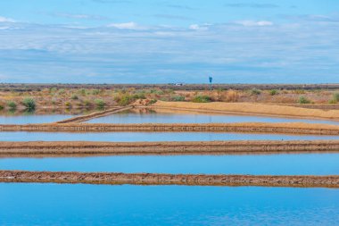 Portekiz 'in Tavira kasabasında tuz tavaları.