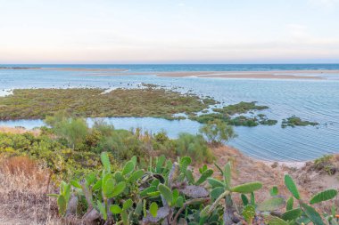 Portekiz, Cacelha Velha 'daki Algarve bölgesinin kıyı şeridi.