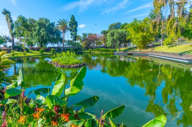 Portekiz 'in Funchal kasabasındaki Santa Catarina Parkı' nda gölet.