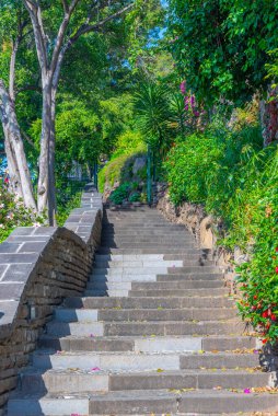 Portekiz 'deki Santa Catarina Parkı Funchal.