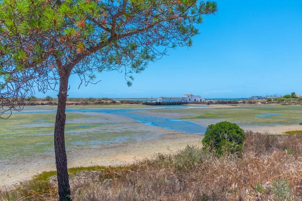 Portekiz 'deki Ria Formosa Ulusal Parkı' ndaki Quinta do Marim gelgit değirmeni.