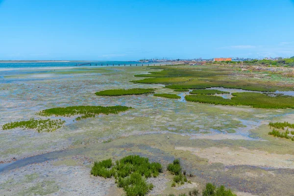 Portekiz 'deki Ria Formosa Ulusal Parkı' nın bataklıkları.