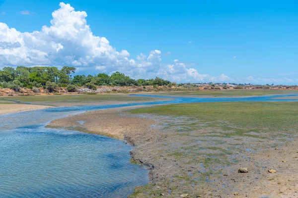 Portekiz 'deki Ria Formosa Ulusal Parkı' nın bataklıkları.
