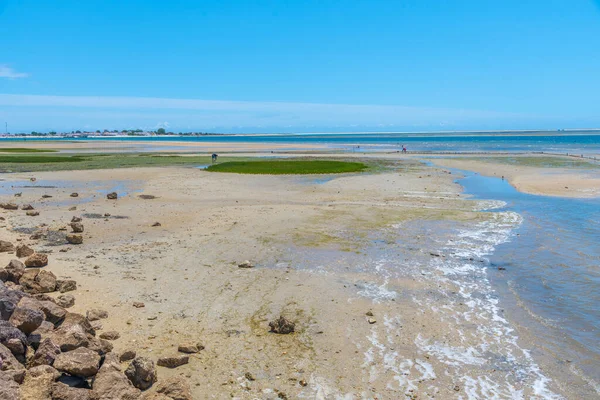 Portekiz 'deki Ria Formosa Ulusal Parkı' nın bataklıkları.