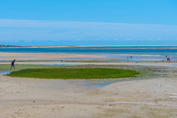 Wetlands Ria Formosa National Park Portugal — Stock Photo, Image