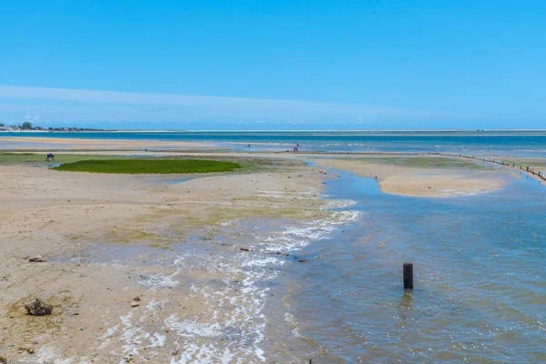 Portekiz 'deki Ria Formosa Ulusal Parkı' nın bataklıkları.