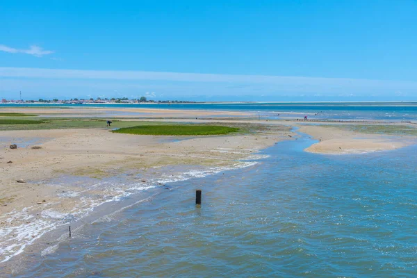 Portekiz 'deki Ria Formosa Ulusal Parkı' nın bataklıkları.