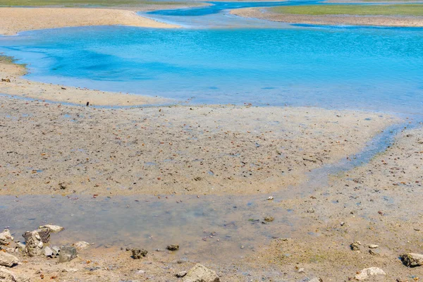 Portekiz 'deki Ria Formosa Ulusal Parkı' nın bataklıkları.