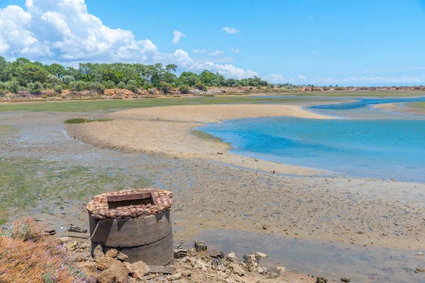 Portekiz 'deki Ria Formosa Ulusal Parkı' nın bataklıkları.