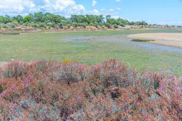 Portekiz 'deki Ria Formosa Ulusal Parkı' nın bataklıkları.