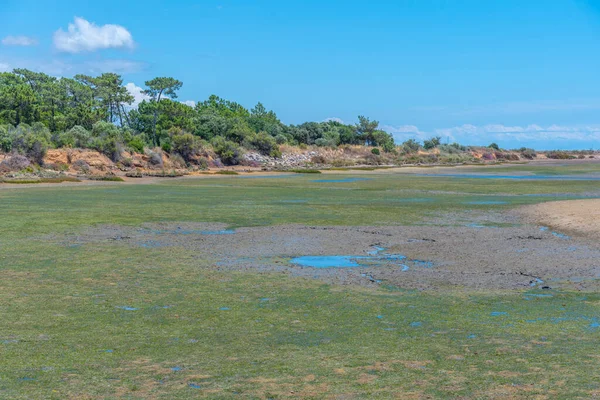 Portekiz 'deki Ria Formosa Ulusal Parkı' nın bataklıkları.