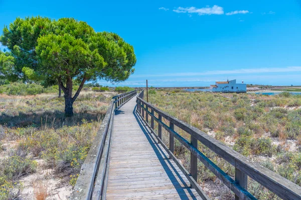 Portekiz 'deki Ria Formosa Ulusal Parkı' ndaki Quinta do Marim gelgit değirmeni.