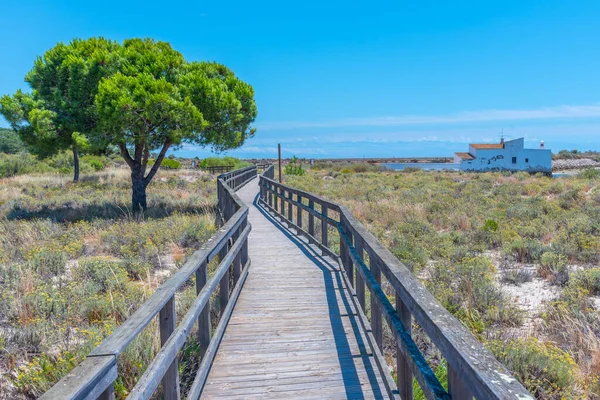 Moulin Marée Quinta Marim Parc National Ria Formosa Portugal — Photo