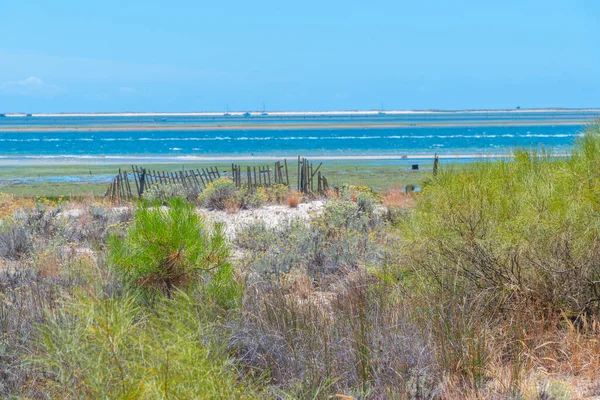 Portekiz 'deki Ria Formosa Ulusal Parkı' nın bataklıkları.