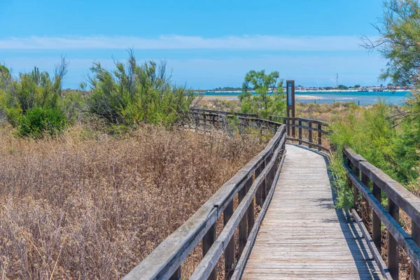 Portekiz 'deki Ria Formosa Ulusal Parkı' nın bataklıkları.
