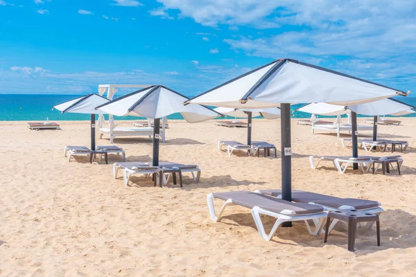 Portekiz 'deki Ilha de Tavira' da güneşlik..