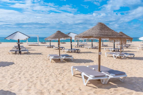 Portekiz 'deki Ilha de Tavira' da güneşlik..