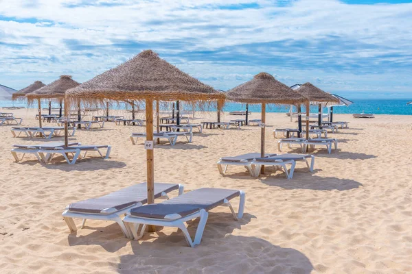 Portekiz 'deki Ilha de Tavira' da güneşlik..