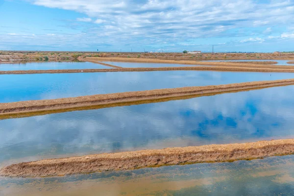 Portekiz 'in Tavira kasabasında tuz tavaları.