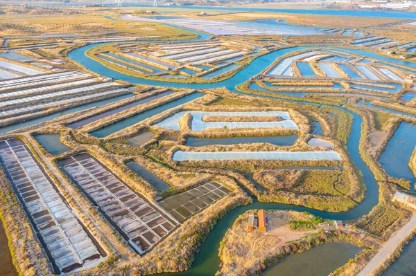 Portekiz 'deki Castro Marim' de tuzlu tavalar.