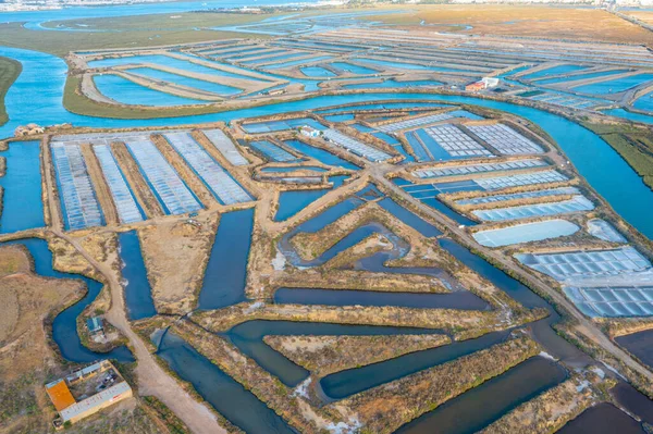 Portekiz 'deki Castro Marim' de tuzlu tavalar.
