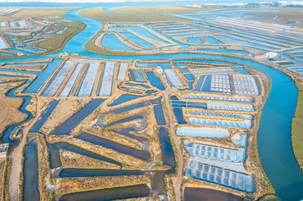 Portekiz 'deki Castro Marim' de tuzlu tavalar.