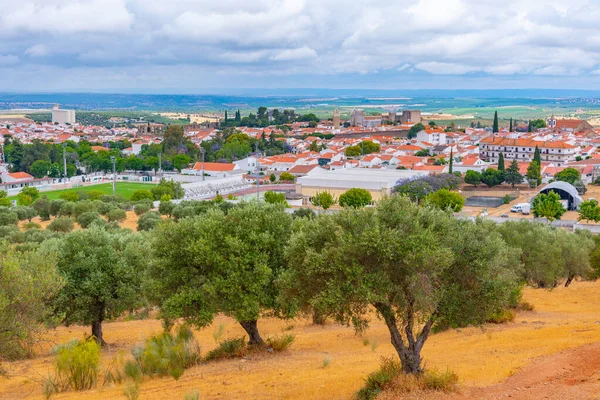 Portekiz 'in Panorama kenti Serpa.