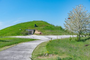 Bulgaristan 'da Trakya' nın Sveshtari Mezarı
