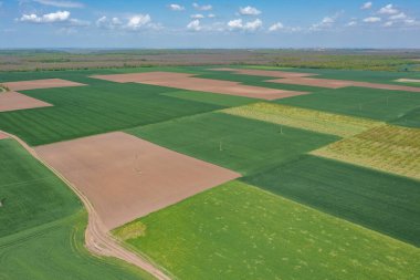 Bulgaristan 'ın Silistra bölgesinin kırsal manzarası