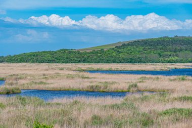 Bulgaristan 'da Srebarna doğal rezervi