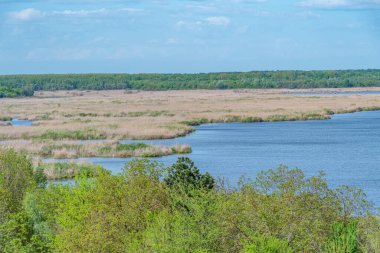 Bulgaristan 'da Srebarna doğal rezervi