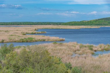 Bulgaristan 'da Srebarna doğal rezervi