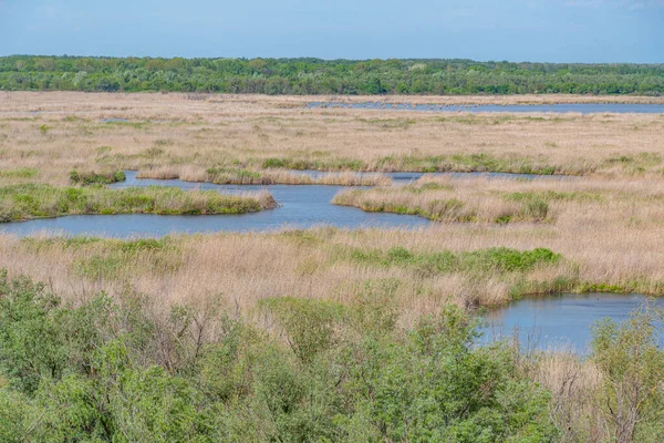 Naturschutzgebiet Srebarna Bulgarien — Stockfoto