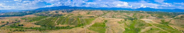 Vineyard Spreading Region Melnik Bulgari — Stock Photo, Image