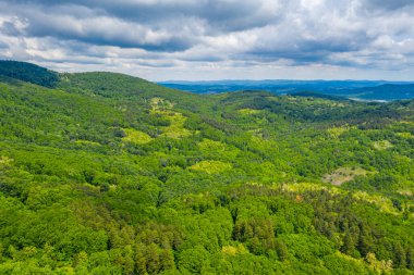Bulgaristan 'daki Strandzha dağlarının havadan görünüşü